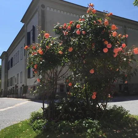 Lejlighed White Flat By Grazrentals With Cool Location & Free Parking Graz