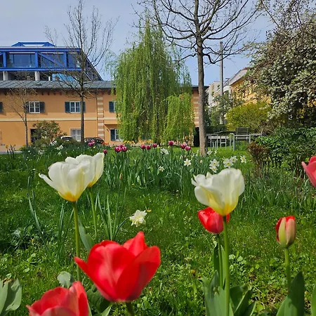 White Flat By Grazrentals Architect Designed & Stylish & Free Parking Apartment *