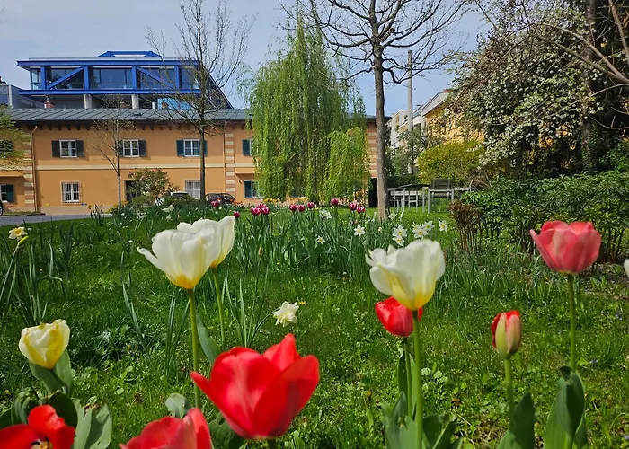 White Flat By Grazrentals Architect Designed & Stylish & Free Parking Διαμέρισμα *